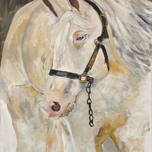 Original animal portrait acrylic painting of a white horse with a black harness and a small bird perched nearby, painted in soft cream and neutral tones by Monique Paré.